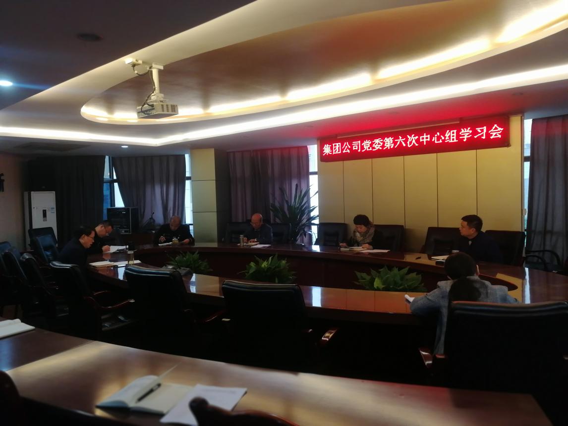 集團公司黨委學(xué)習(xí)貫徹黨的十九屆四中全會精神
