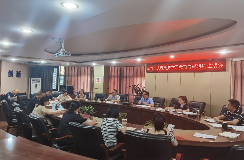 公司一支部召開(kāi)黨史學(xué)習(xí)教育專(zhuān)題組織生活會(huì)