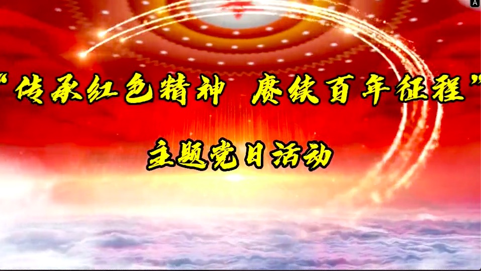 傳承紅色精神，賡續百年征程-共產(chǎn)黨員服務(wù)大隊主題黨日活動(dòng)