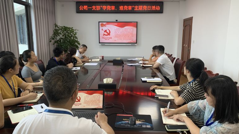 清源水務(wù)公司黨委組織開(kāi)展“學(xué)黨章、遵黨章”系列主題黨日活動(dòng)