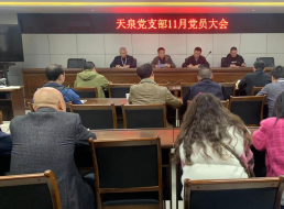 天泉黨支部召開(kāi)11月黨員大會(huì )暨主題黨日活動(dòng)